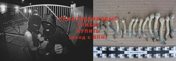 марки lsd Бородино