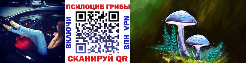 гидра рабочий сайт  цены наркотик  мориарти телеграм  Галлюциногенные грибы ЛСД  Северск 
