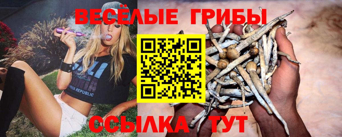 Галлюциногенные грибы Cubensis Северск