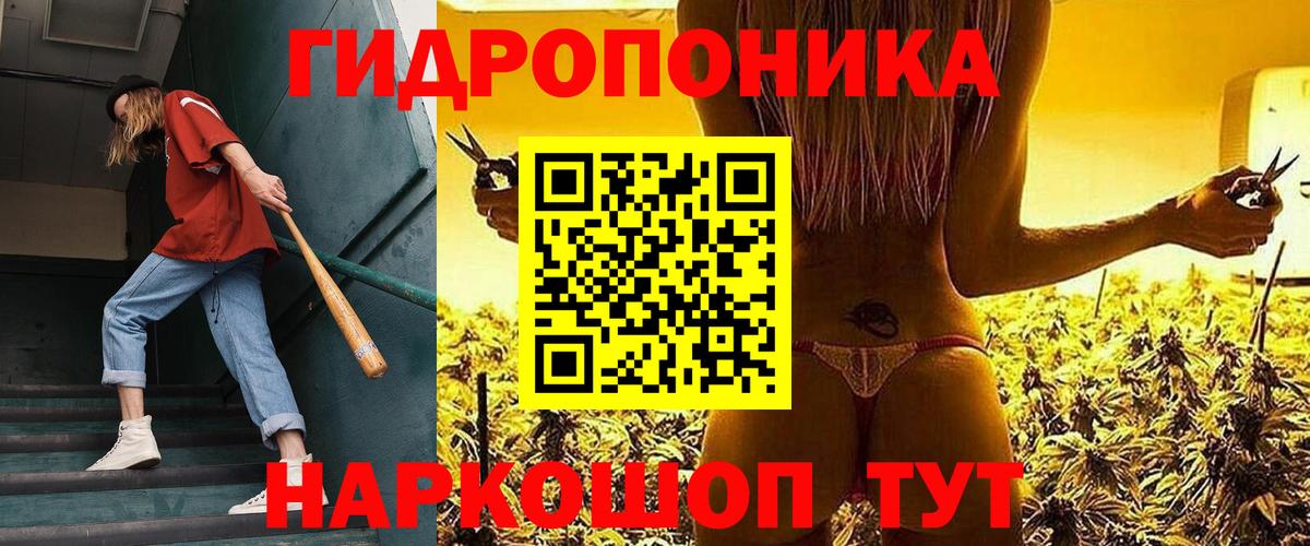 Марихуана план  Марихуана тримм  Северск  Вход с VPN  Марихуана гибрид 